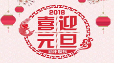 賽思達(dá)祝您元旦快樂！